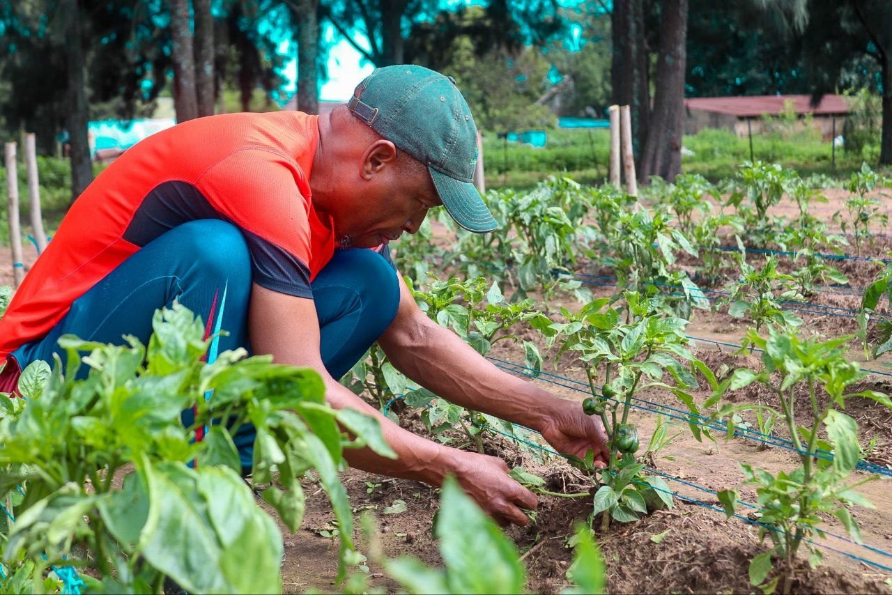 Agri soil garden care